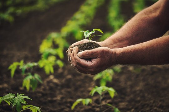 Organic Farming Support